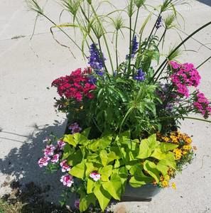 Meet your Posher, Terri